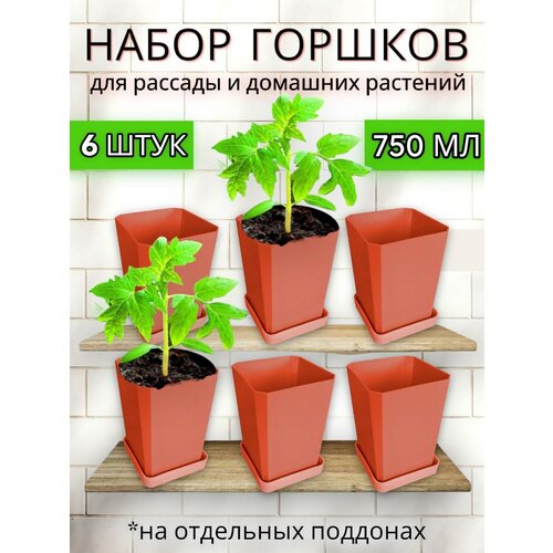 Набор горшков для рассады Пеликан 6 шт, 750 мл Терракотовый