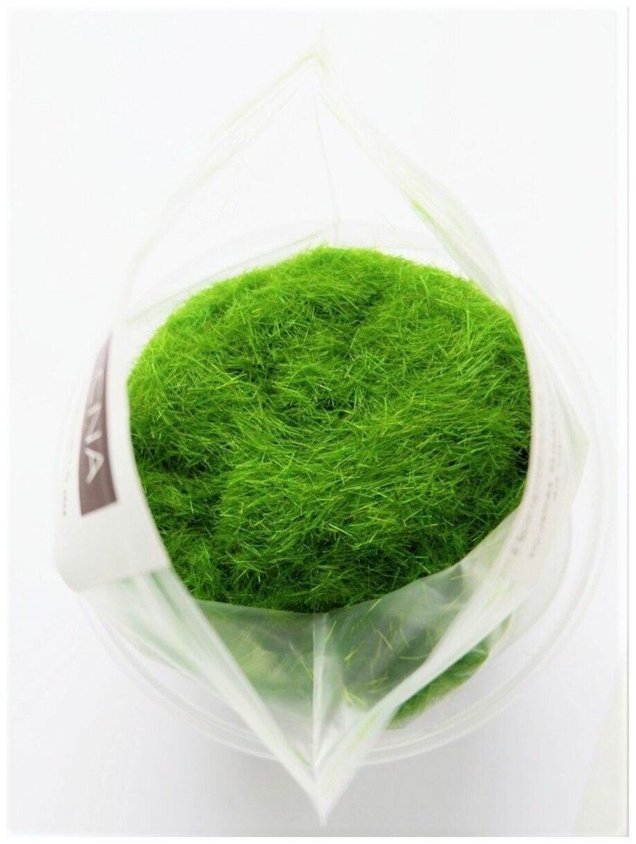 Флок трава для моделирования 5 мм (зеленый, 50 г) - фотография № 3