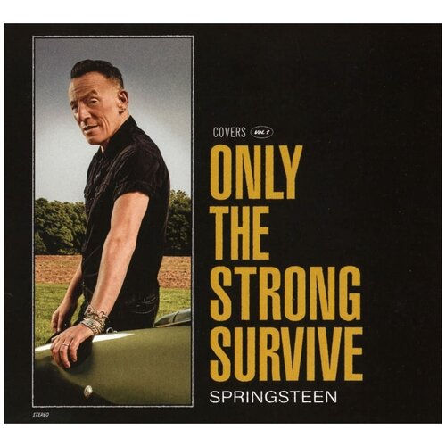 Audio CD Bruce Springsteen. Only The Strong Survive (CD) bruce springsteen bruce springsteen only the strong survive 2 lp