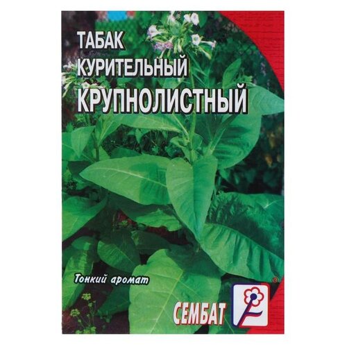 Семена СЕМБАТ Табак курительный Крупнолистный 512 0.01 г