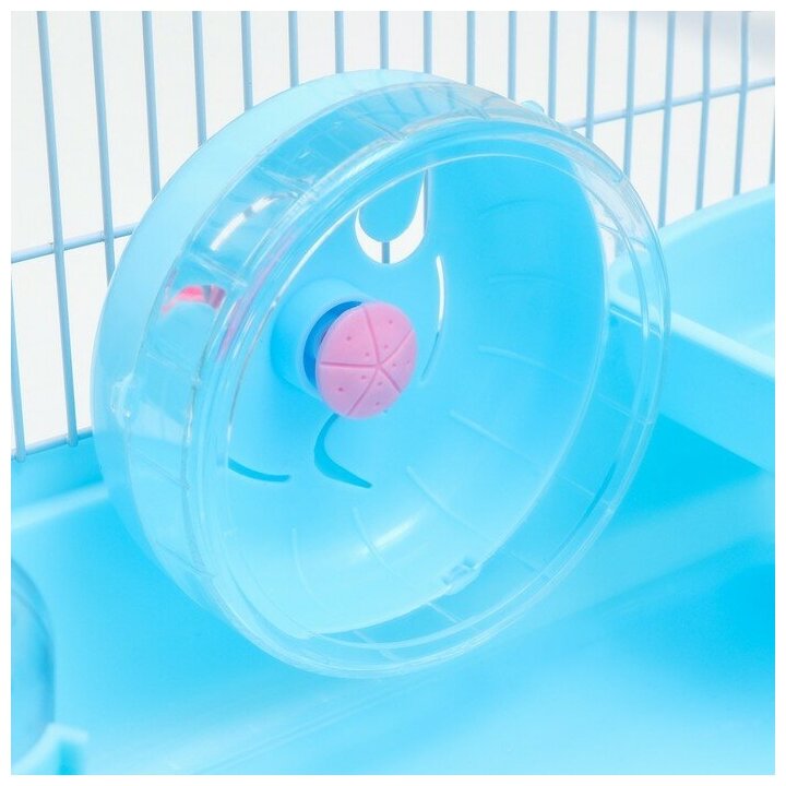 Клетка для грызунов"Пижон", с наполнением 47 х 30 х 27 см, голубая Пижон 7861077 . - фотография № 7