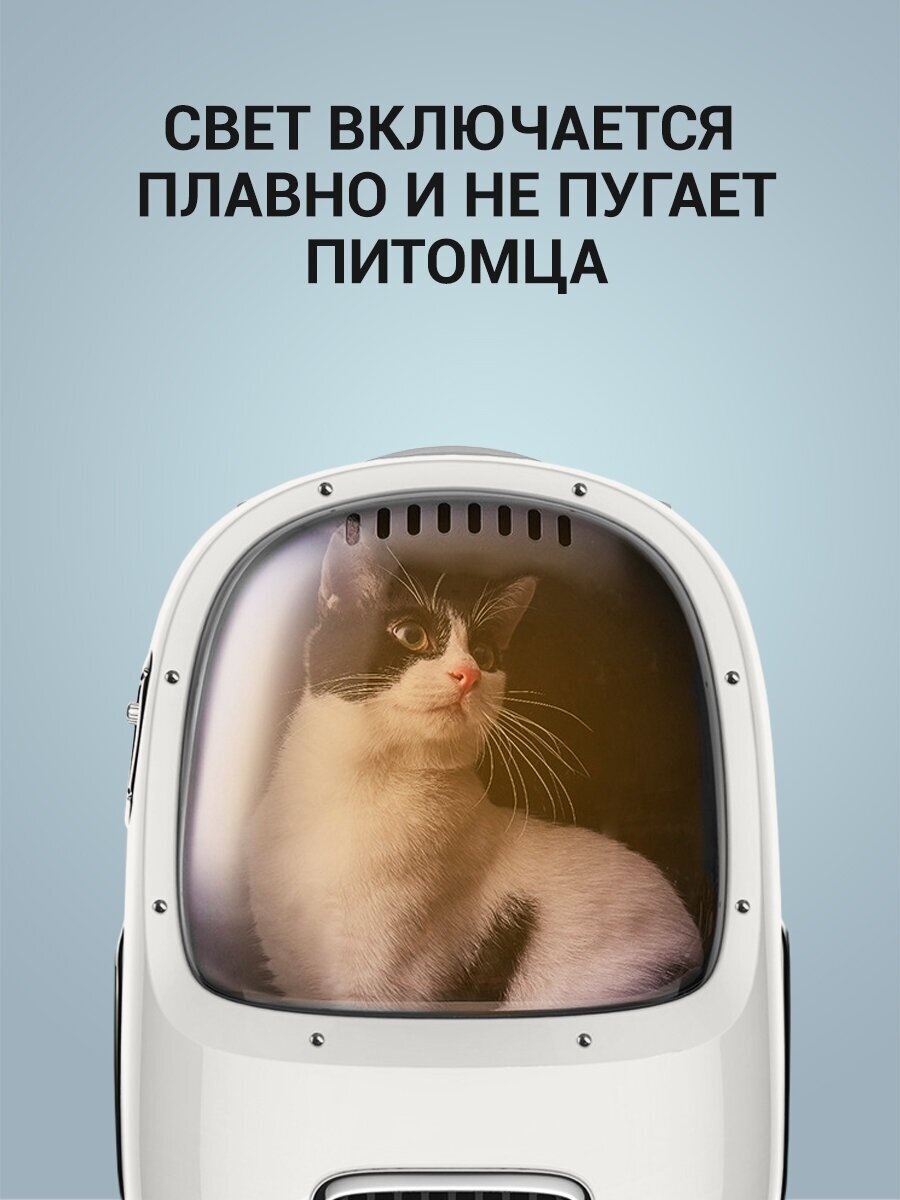 Рюкзак-переноска Petkit для кошек и собак белый - фотография № 18