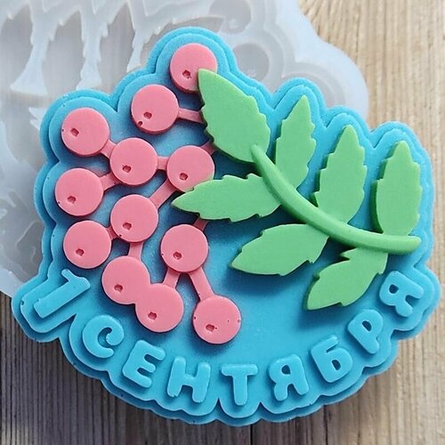 Молд Рябина 1 сентября