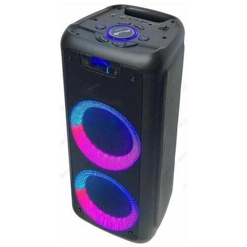 Колонка Eltronic 20-25 DANCE BOX 100, черный