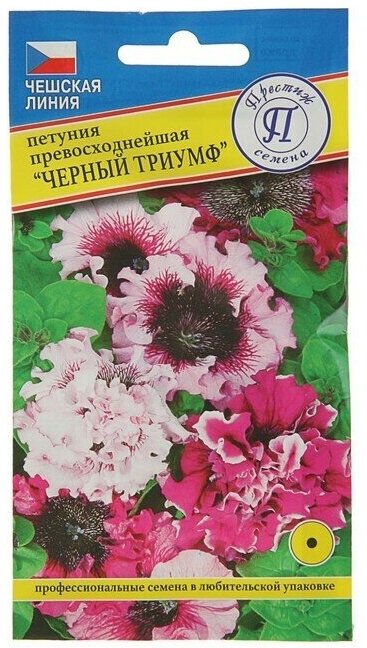 Семена цветов . Петуния превосходнейшая . Черный Триумф . О драже 10 шт .2 уп.