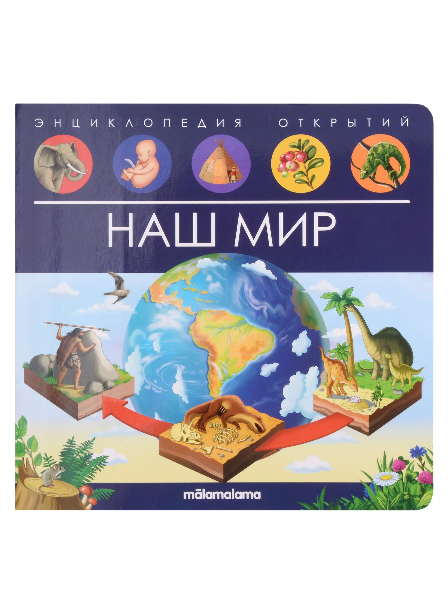 Энциклопедия открытий . Наш мир