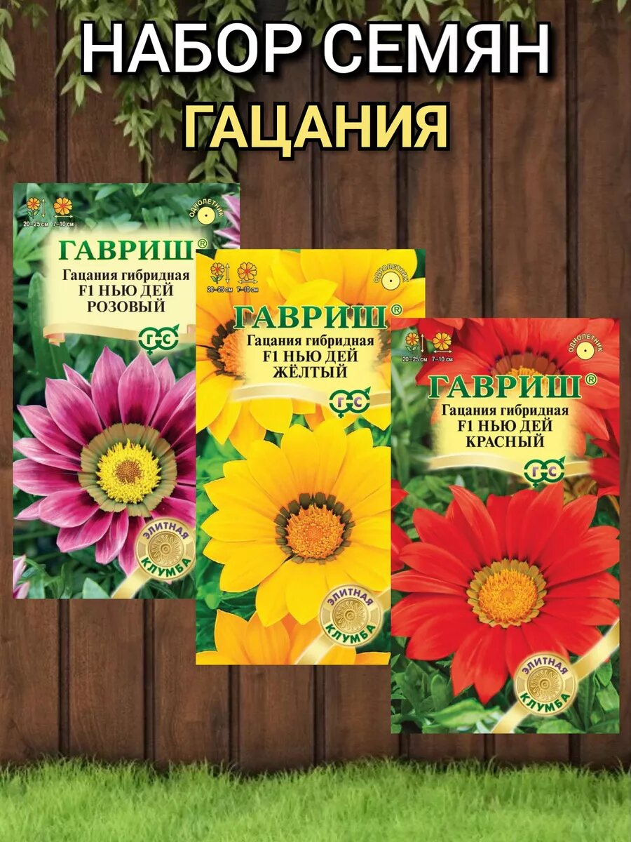 Семена цветов Гавриш Гацания Нью Дей: розовый желтый красный засухоустойчивые высота 20-25см