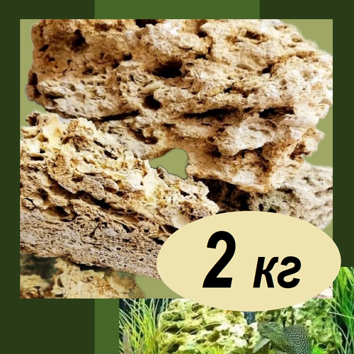 Камни для аквариума крупные 2 кг песчанник грунт ракушечник окаменелости