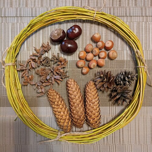 Набор природных материалов для творчества/ Заготовка для венка из веток ивы, орехи, каштаны, шишки
