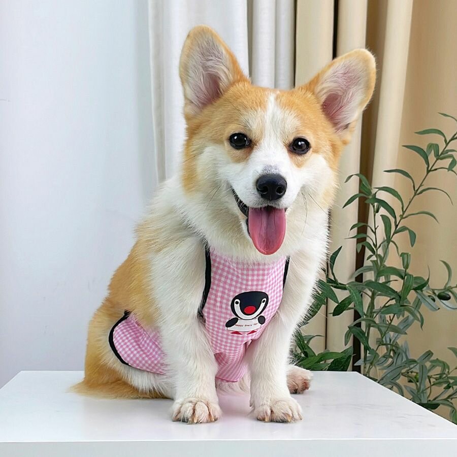 Попона для собак Onyx Pet, грязезащитная с водоотталкивающим эффектом, для корги самка, размер XL