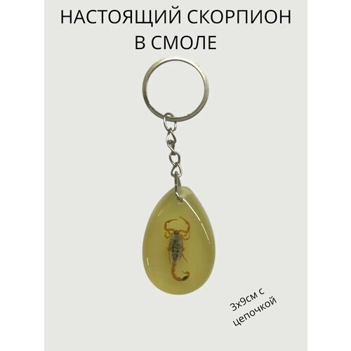 фото Брелок, глянцевая фактура, зеленый miascarpa