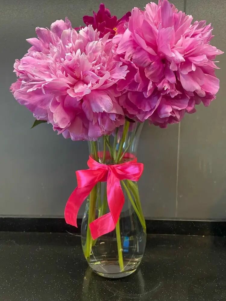 Ваза Pasabahce "Flora", стекло, настольная, 25 см, прозрачная — фото 1