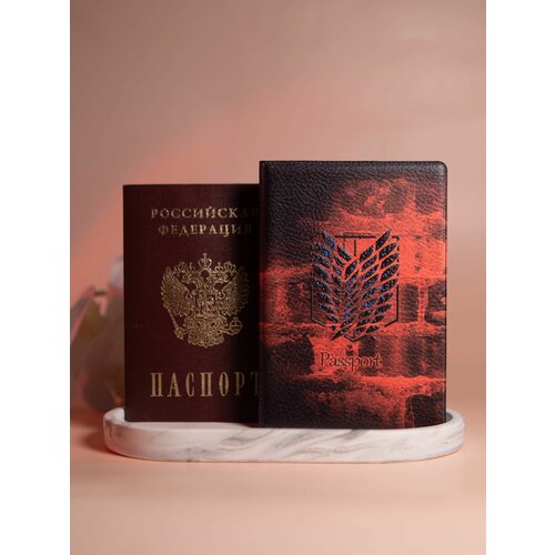Обложка для паспорта 13249, мультиколор, черный
