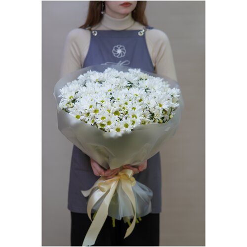 Букет живых цветов из 25 кустовых хризантем в декоративной упаковке/ ромашка
