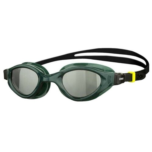 Очки для плавания ARENA Cruiser Evo, арт.002509565, дымчатые линзы