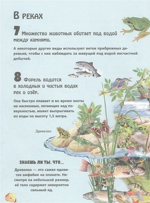 Животные морей и рек (Домингес Нико) - фото №11