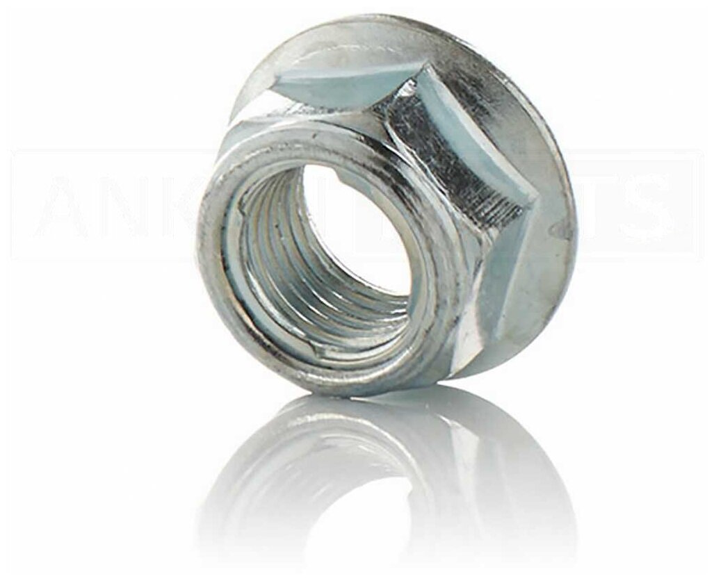 фото Гайка фланцевая M16