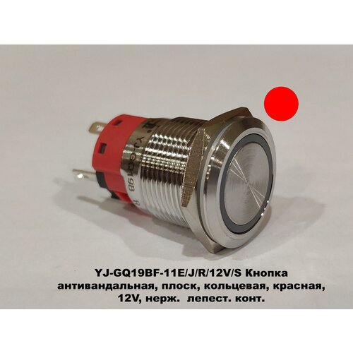 YJ-GQ19BF-11E/J/R/12V/S Кнопка антивандальная, плоск, кольцевая, красная , 12V, нерж. лепест. конт.