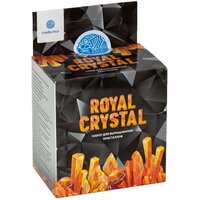 Intellectico Научно-познавательный набор для проведения опытов "Royal Crystal"