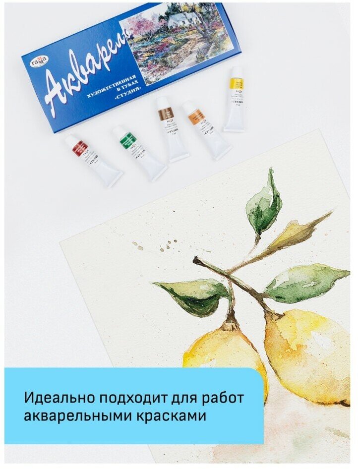Альбом-склейка для акварели Гамма "Студия" А3 20 л 200 г, среднее зерно - фото №4