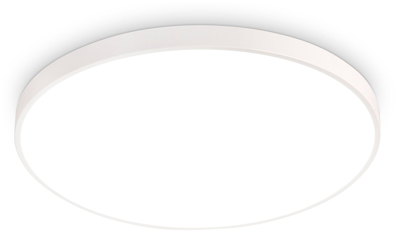 Потолочный LED светильник FZ1200 WH белый IP54 11W 5000K D210*60 (без ПДУ)