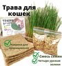Трава для кошек, для грызунов, смесь семян пшеницы, ржи и овса, с лотками и ковриками для проращивания