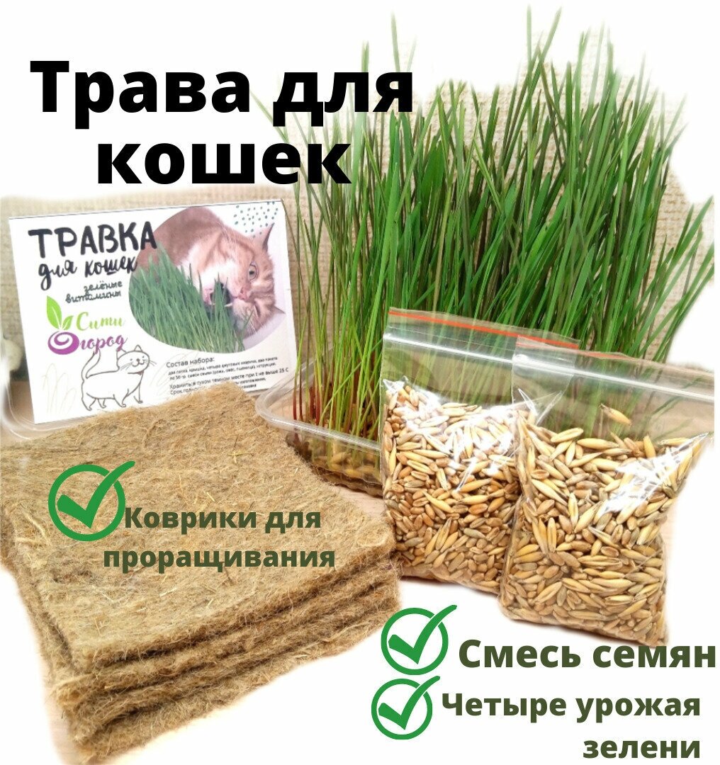 Трава для кошек для грызунов смесь семян пшеницы ржи и овса с лотками и ковриками для проращивания