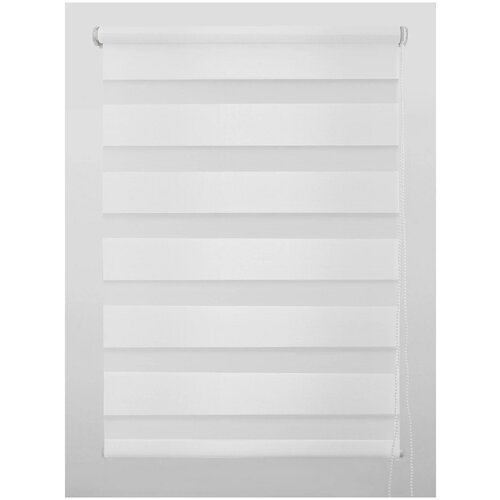 Штора рулонная день-ночь Inspire Peter 60x160 см белая White