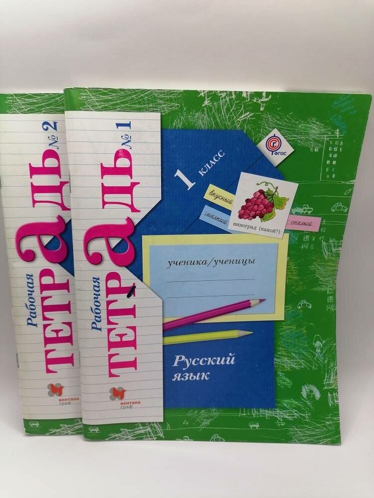 Русский язык. 1 класс. Рабочая тетрадь. В 2-х частях. Часть 1. - фото №2