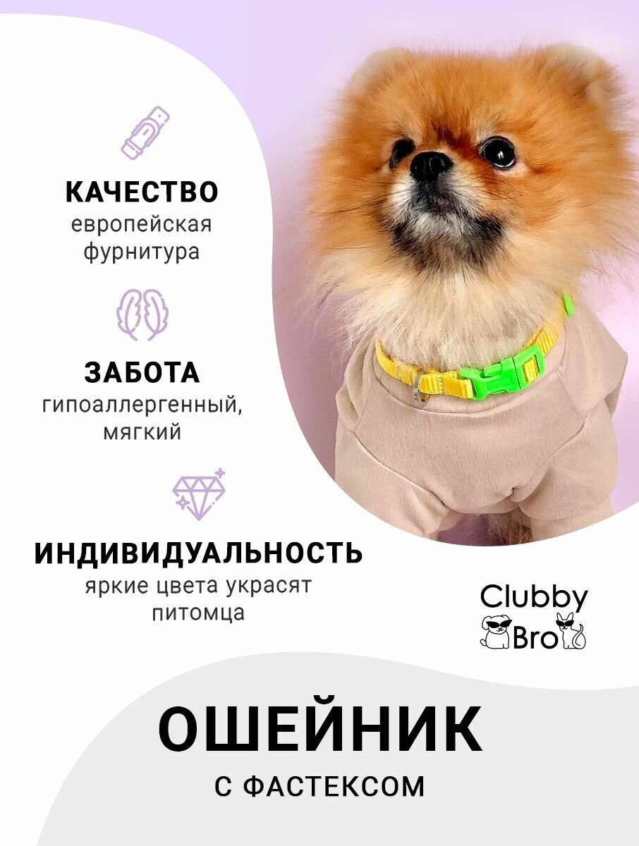 Сlubby Bro Ошейник для собак мелких пород и средних пород, жeлтый-зеленый, размер S