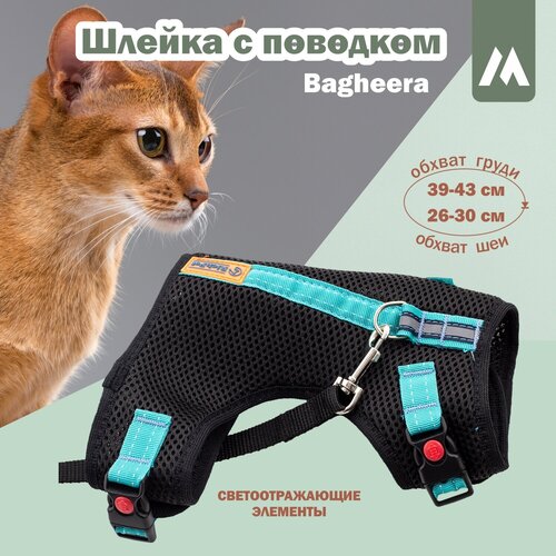Шлейка c поводком RichPet Bagheera M (шея 26-30см, грудь 39-43см. Вес животного 5-9 кг), черный