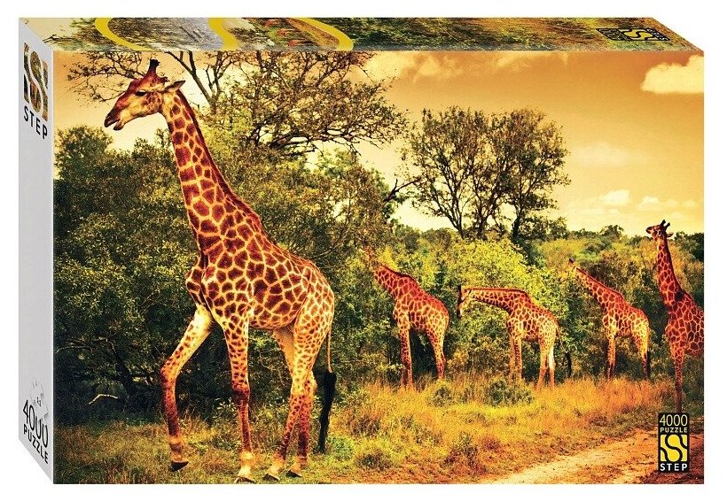 Пазл Step puzzle 4000 деталей: Южноафриканские жирафы