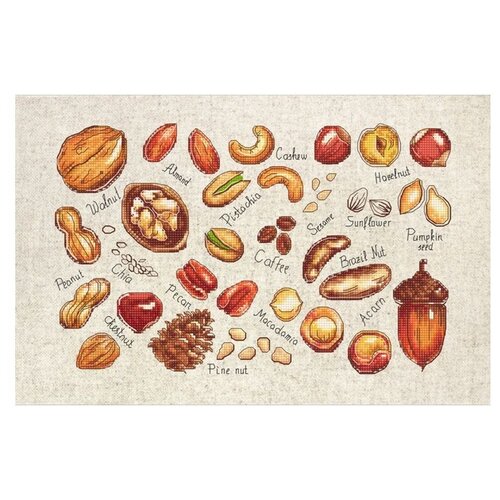 фото Набор для вышивания «орехи и семена», 31,5x20 см, luca-s