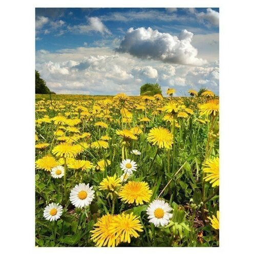 Обогрев настенный Поле 119000₽