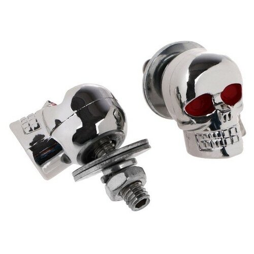 Болт крепления номерной рамки череп набор 2 шт 539₽