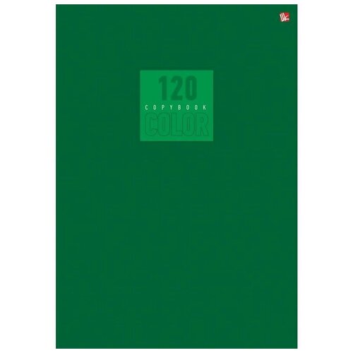 Listoff Бизнес-тетрадь Стиль и Цвет, клетка, 120 л., 20 шт., зелeный
