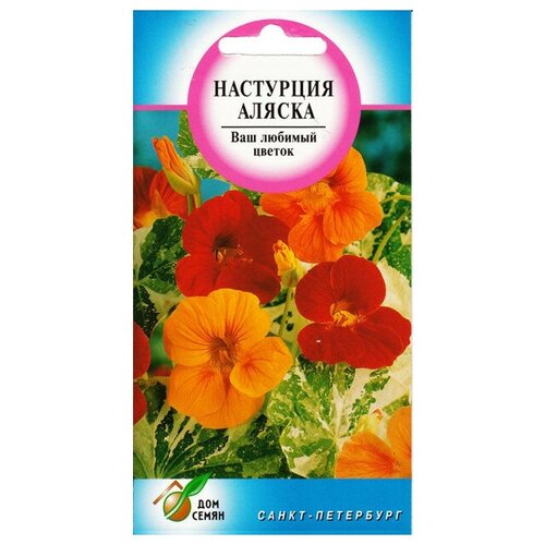 Семена Настурция аляска 9шт для дачи, сада, огорода, теплицы / рассады в домашних условиях семена настурция махровая сальмон 10шт для дачи сада огорода теплицы рассады в домашних условиях