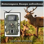 Фотоловушка с функцией ночного видения / Охотничья камера для наблюдения, охраны, охоты всепогодная - изображение