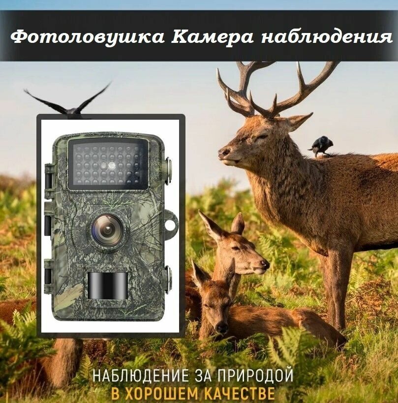 Фотоловушка с функцией ночного видения / Охотничья камера для наблюдения охраны охоты всепогодная
