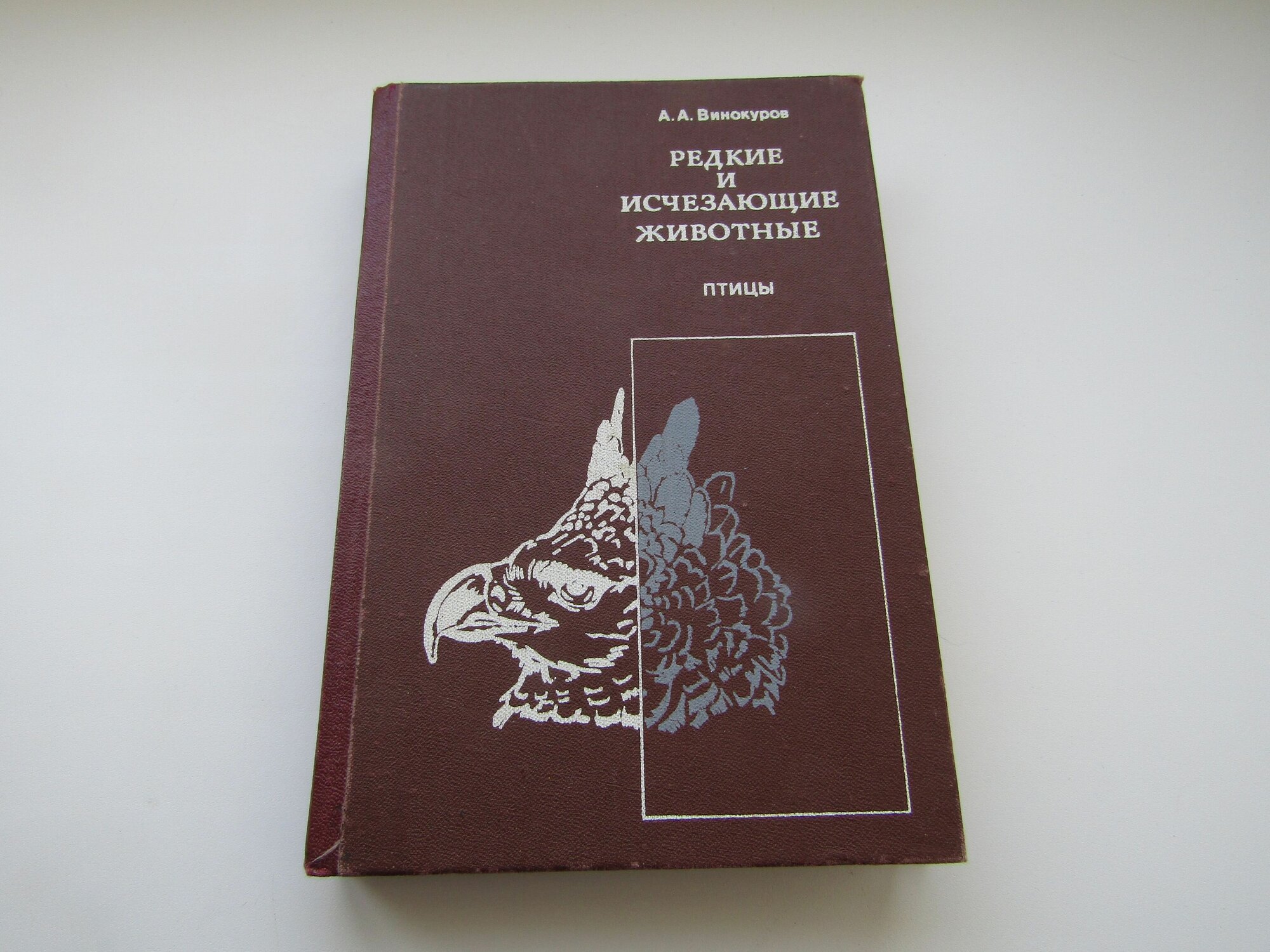 Редкие и исчезающие животные. Птицы. Ардалион Винокуров.