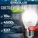 Светодиодные лампочки Ergolux 10W E27 G45 4K шар комплект 10 шт