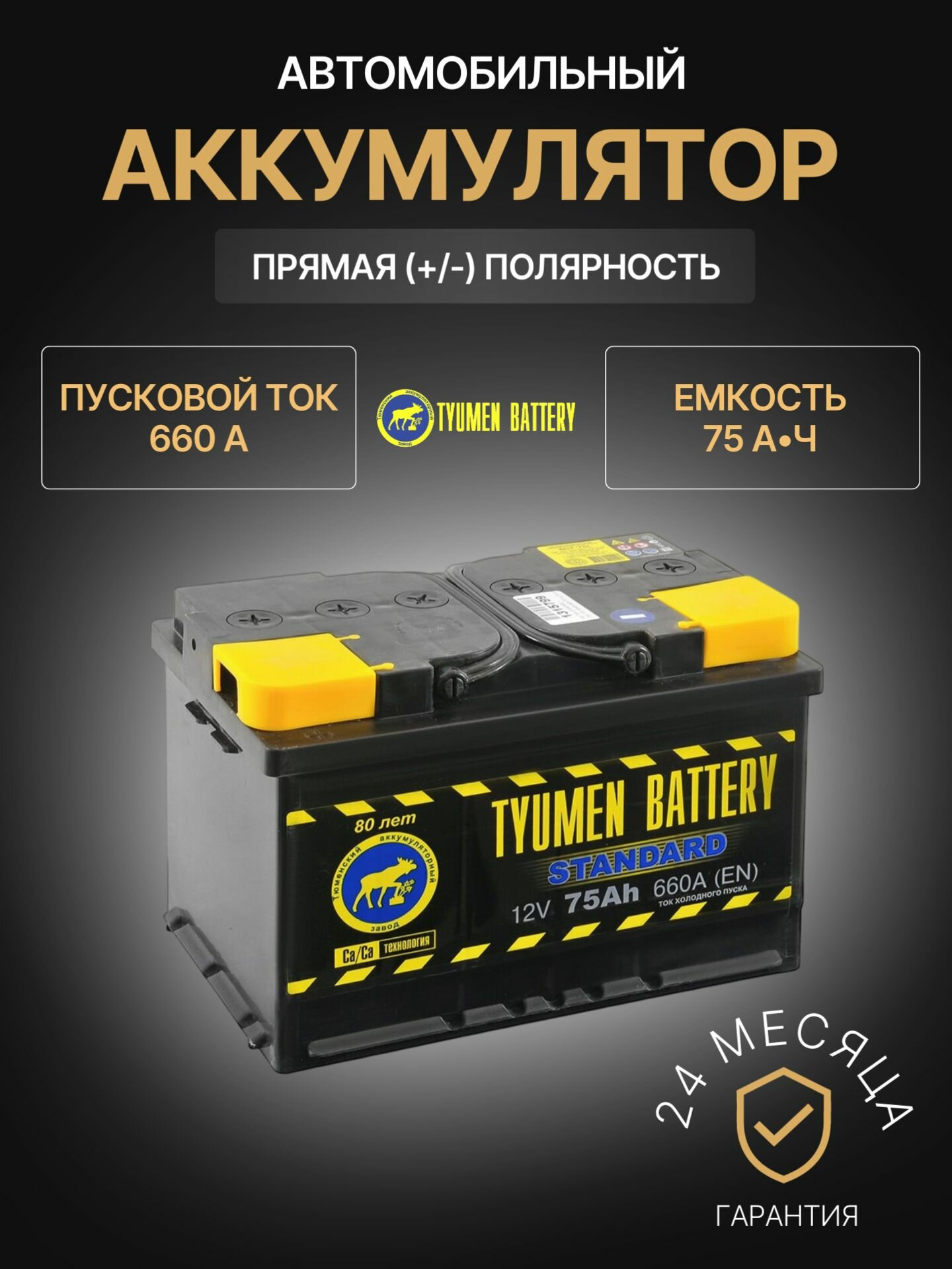 Аккумулятор автомобильный TYUMEN Battery Standard L+ 12В 75Ач 660А