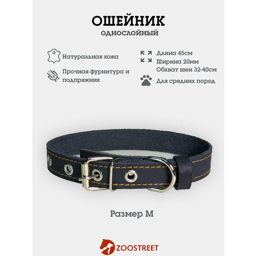 Ошейник для собак мелких пород кожаный, однослойный, 20мм, 45см, с подпряжником M