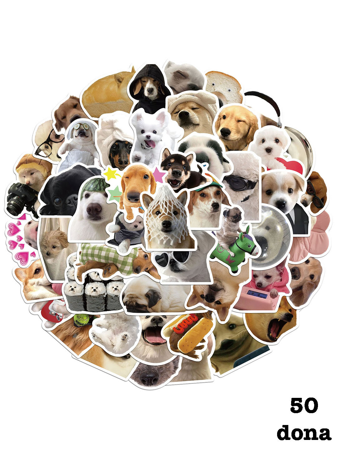 Наклейки стикеры "Мемы, прикол, смешные картинки, милые кошки, котята" - Аметистовый