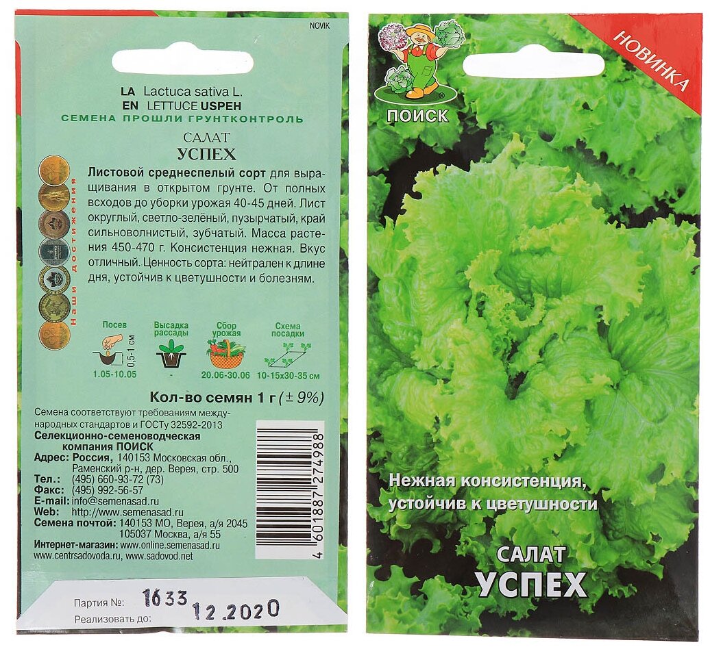 Семена Салат листовой Успех 1 г цветная упаковка Поиск