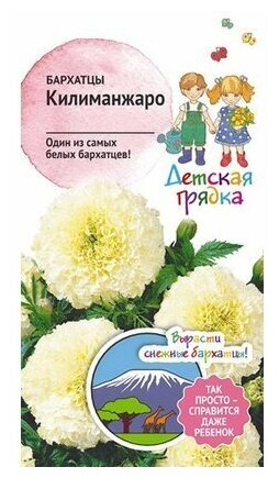 Бархатцы Детская грядка - фото №5