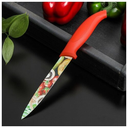 Нож с антиналипающим покрытием Доляна «Урожай» универсальный, лезвие 12,5 см