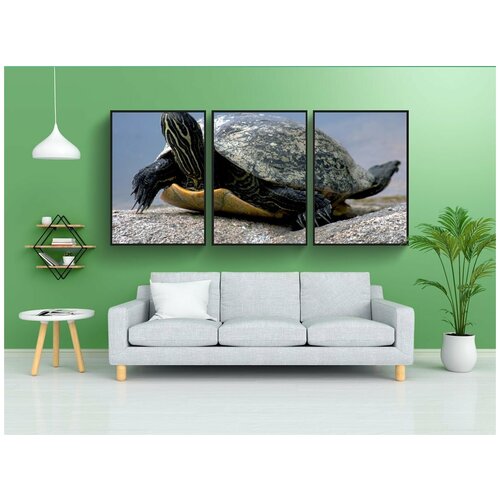 фото Набор модулных постеров для интерьера "воды черепаха, рептилии, природа" 60x90 см. в тубусе, без рамки lotsprints