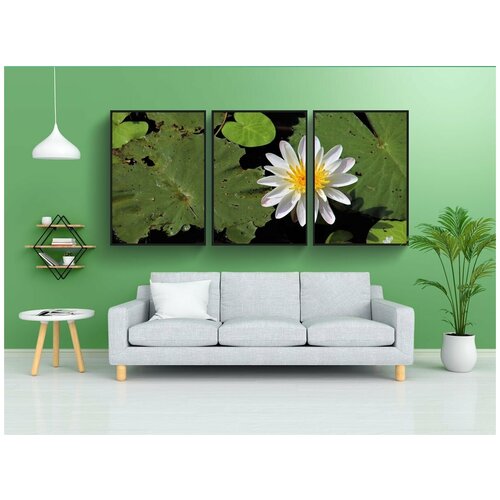 фото Набор модулных постеров для интерьера "завод, lotus, лист" 60x90 см. в тубусе, без рамки lotsprints