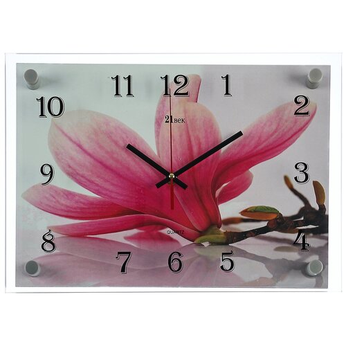 фото Часы настенные, серия: цветы, "магнолия", 25х35 см, микс рубин 2976097 . 21 век